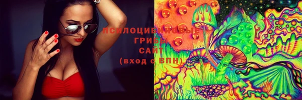 ешки Абинск