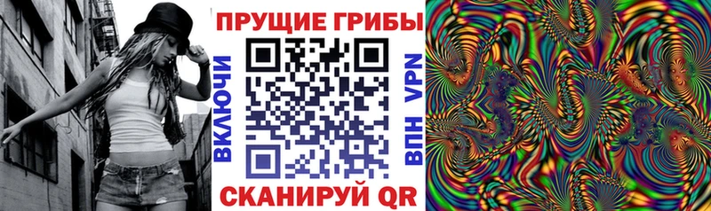 где купить наркоту  Усолье  Псилоцибиновые грибы Cubensis 